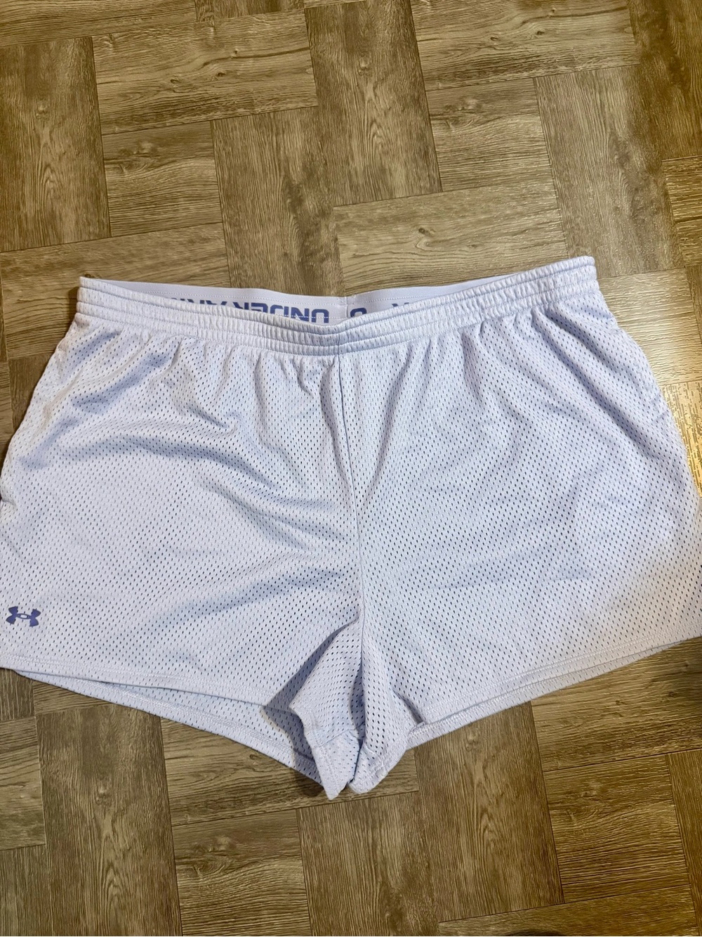 Under Armour Light Purple Mesh Training Shorts